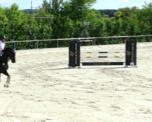 Reitturnier Großbardorf/Ufr. 2025