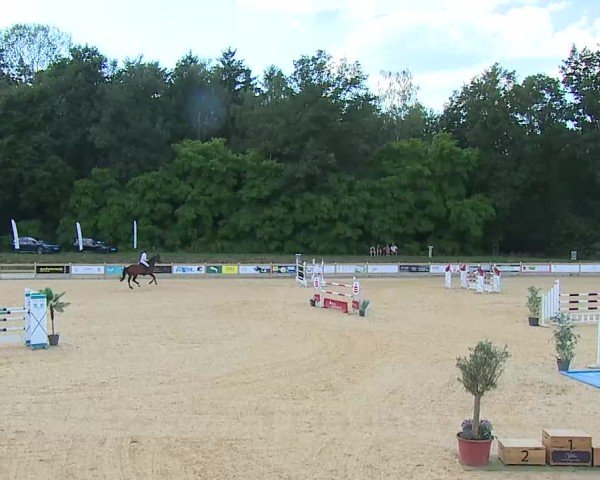 Reitturnier Tiefenhof/Opf. 2025