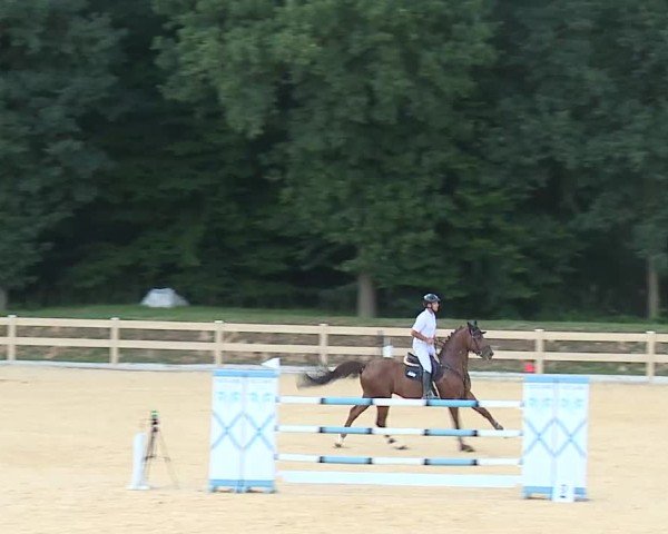 Reitturnier Tiefenhof/Opf. 2025