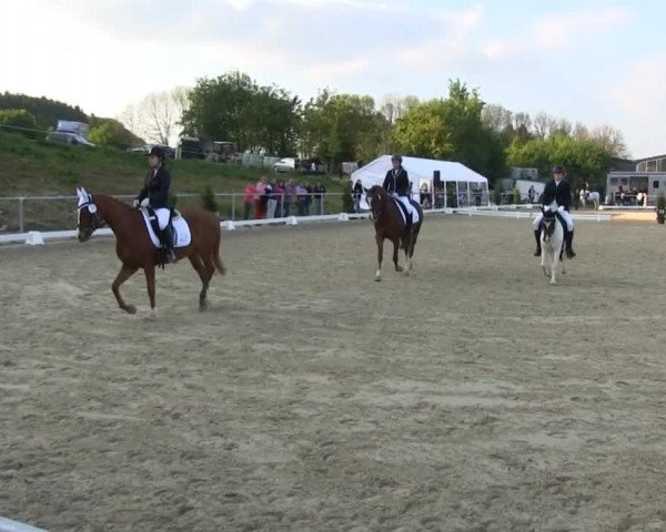 Großes Reit- und Springturnier Bühren-Breckerfeld 2014