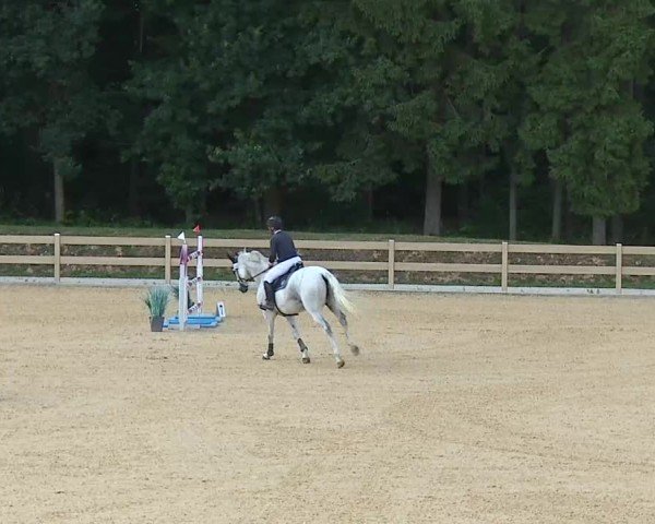 Reitturnier Tiefenhof/Opf. 2025