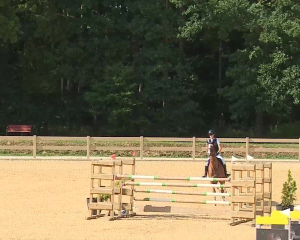 Reitturnier Tiefenhof/Opf. 2025