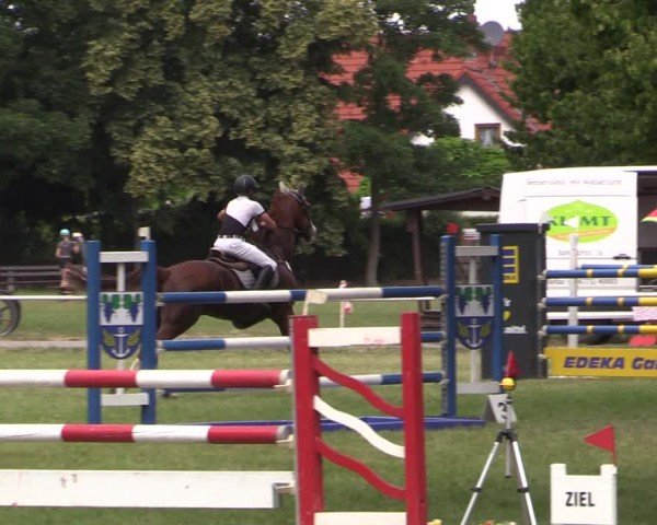 Reitturnier Schwittersdorf-Beesenstedt 2025