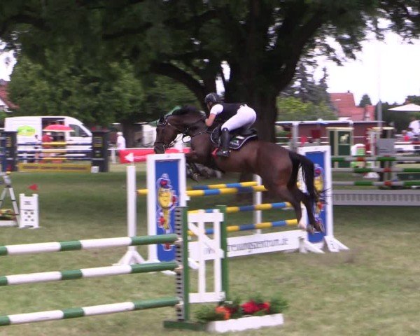 Reitturnier Schwittersdorf-Beesenstedt 2025