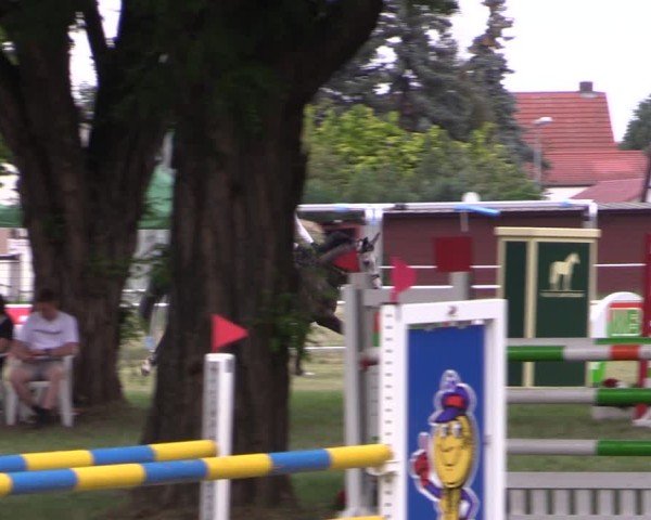 Reitturnier Schwittersdorf-Beesenstedt 2025