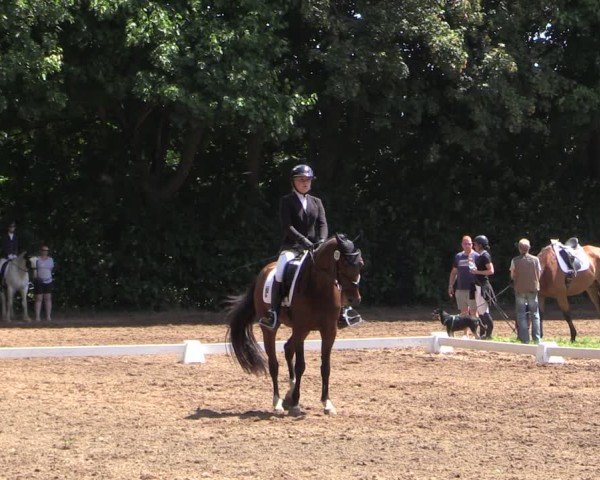 Reitturnier Schwittersdorf-Beesenstedt 2025