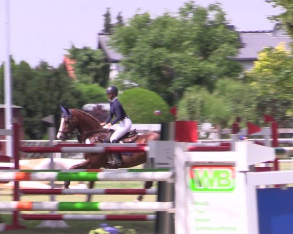 Reitturnier Schwittersdorf-Beesenstedt 2025