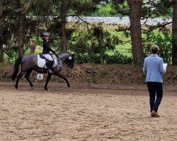 jumper Dummtüch (Kleines Deutsches Pony, 2019, from Wiking's Smellur)