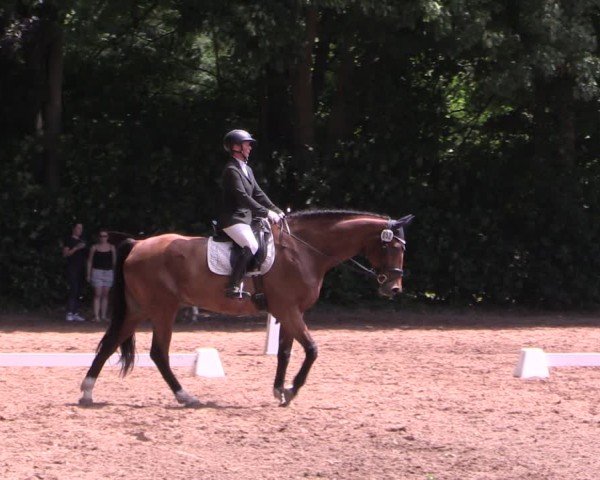 Reitturnier Schwittersdorf-Beesenstedt 2025