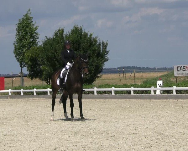 Reitturnier Dresden Gompitz 2025