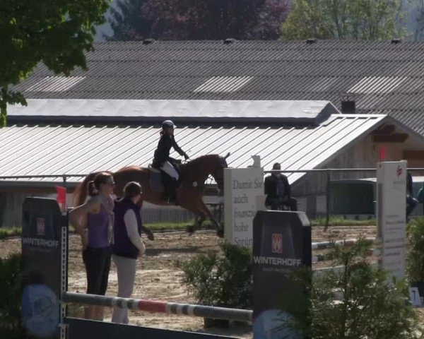 Großes Reit- und Springturnier Bühren-Breckerfeld 2014
