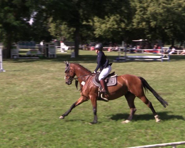 Reitturnier Schwittersdorf-Beesenstedt 2025