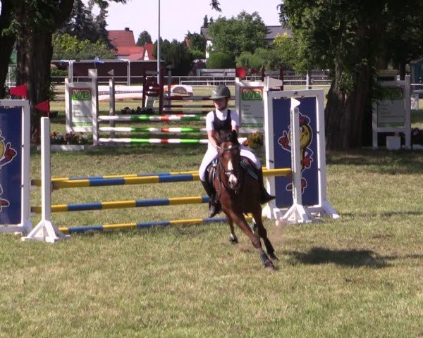 Reitturnier Schwittersdorf-Beesenstedt 2025