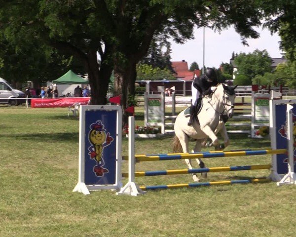 Reitturnier Schwittersdorf-Beesenstedt 2025