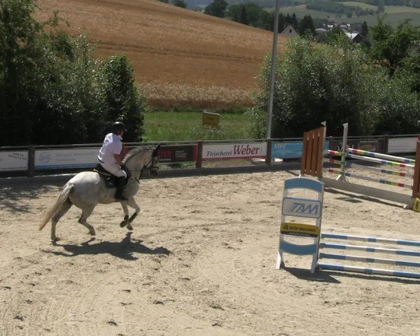 Reitturnier Uder, Reitanlage Kobold 2025