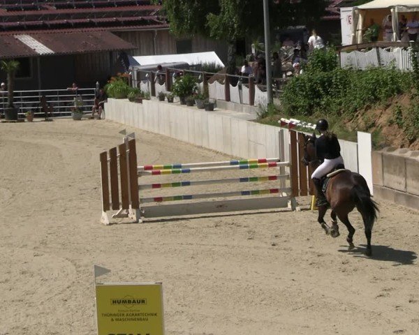 Reitturnier Uder, Reitanlage Kobold 2025