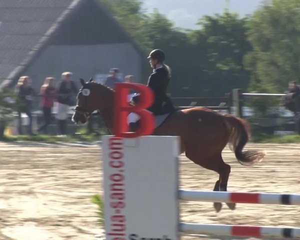 Großes Reit- und Springturnier Bühren-Breckerfeld 2014