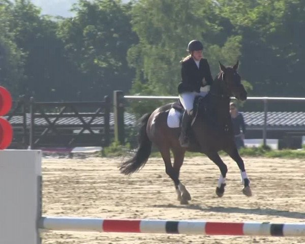 Großes Reit- und Springturnier Bühren-Breckerfeld 2014