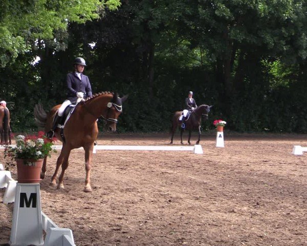 Reitturnier Schwittersdorf-Beesenstedt 2025