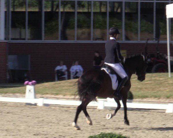 Reitturnier Langenfeld 2025