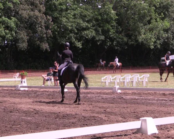 Reitturnier Schwittersdorf-Beesenstedt 2025