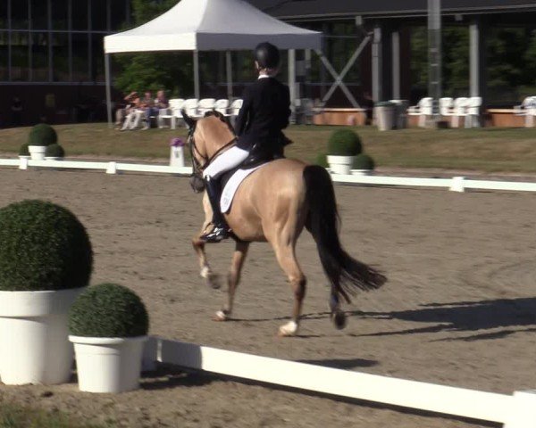 Reitturnier Langenfeld 2025