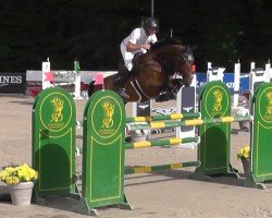 Springpferd Charly Blue CH (Schweizer Warmblut, 2017, von Stolzenberg)