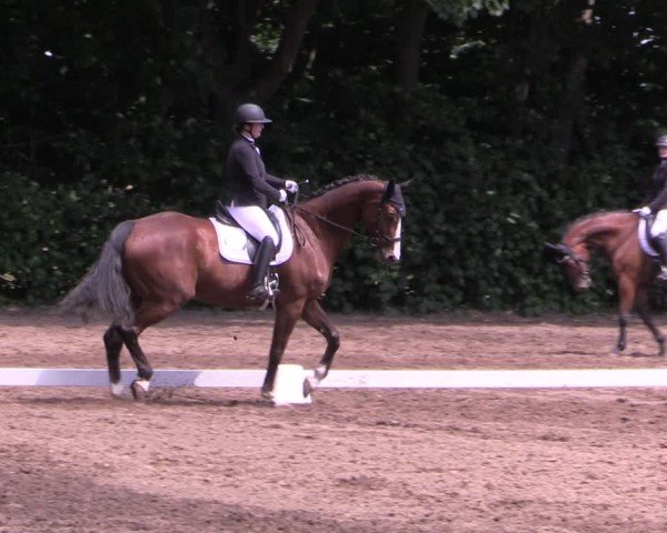 Reitturnier Schwittersdorf-Beesenstedt 2025