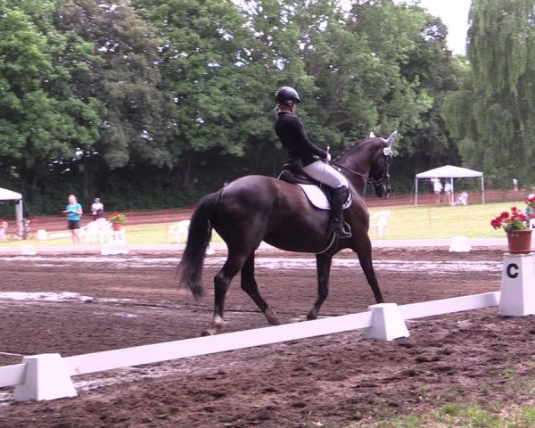Reitturnier Schwittersdorf-Beesenstedt 2025