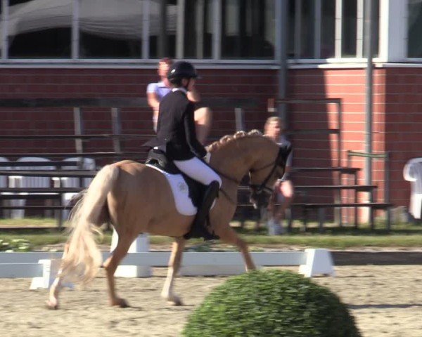Reitturnier Langenfeld 2025