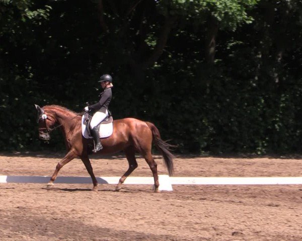 Reitturnier Schwittersdorf-Beesenstedt 2025