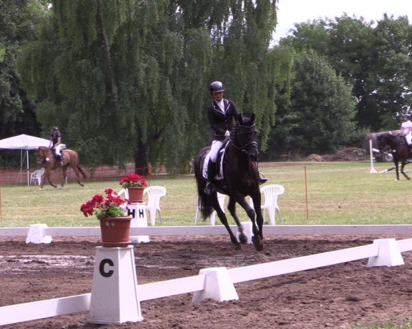 Reitturnier Schwittersdorf-Beesenstedt 2025