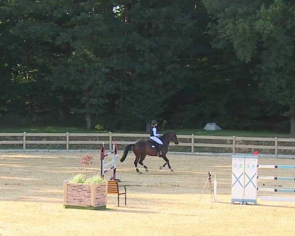 Reitturnier Tiefenhof/Opf. 2025