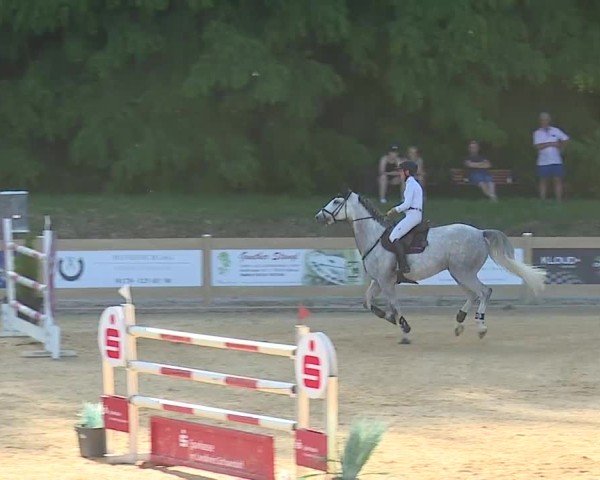 Reitturnier Tiefenhof/Opf. 2025