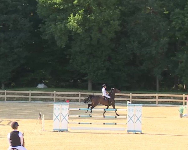 Reitturnier Tiefenhof/Opf. 2025