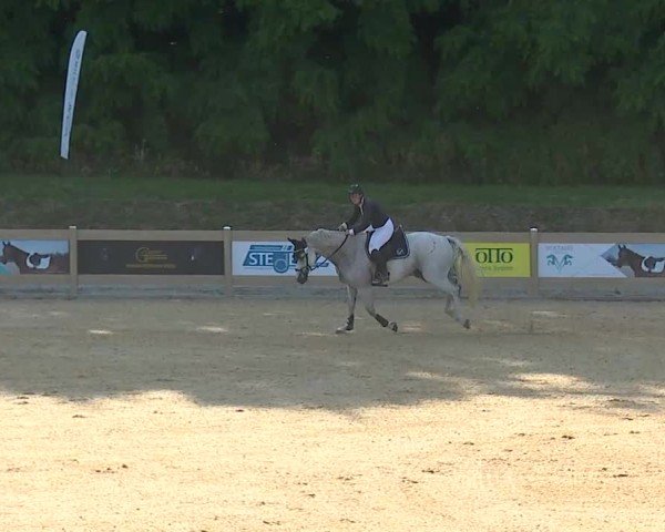Reitturnier Tiefenhof/Opf. 2025