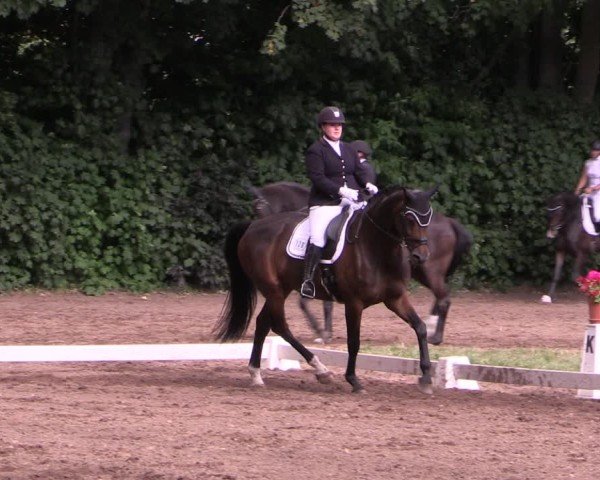 Reitturnier Schwittersdorf-Beesenstedt 2025