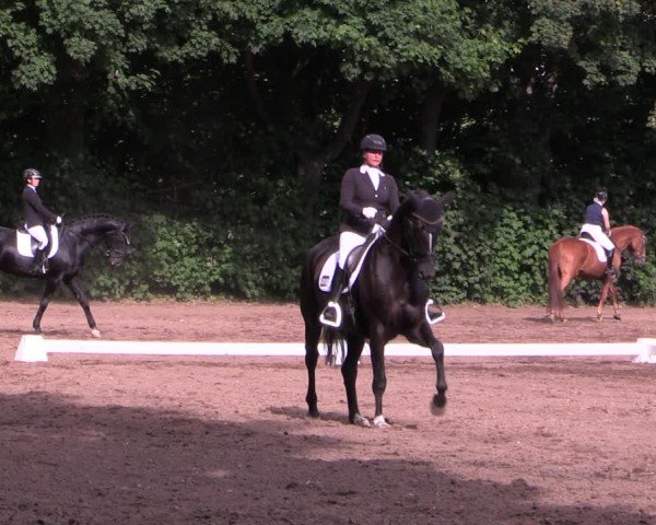 Reitturnier Schwittersdorf-Beesenstedt 2025