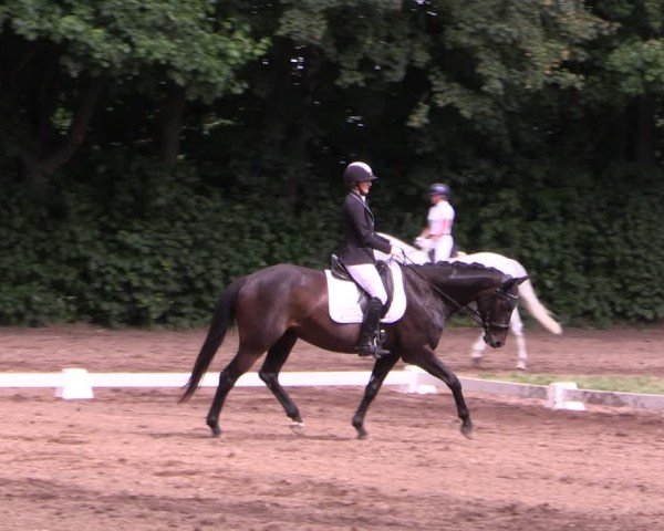 Reitturnier Schwittersdorf-Beesenstedt 2025