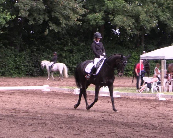 Reitturnier Schwittersdorf-Beesenstedt 2025