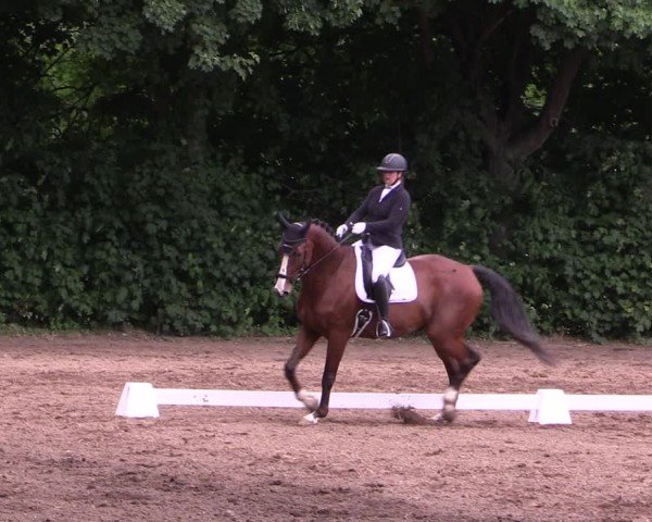 Reitturnier Schwittersdorf-Beesenstedt 2025
