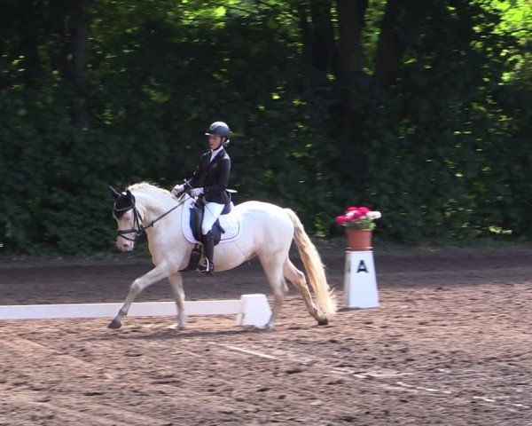 Reitturnier Schwittersdorf-Beesenstedt 2025