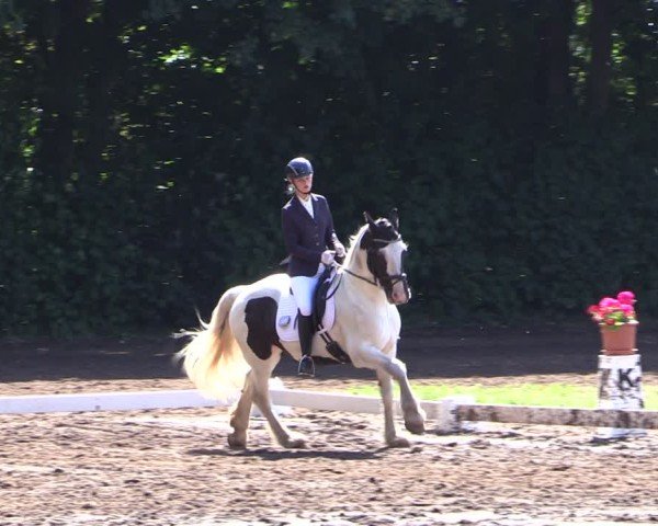 Reitturnier Schwittersdorf-Beesenstedt 2025