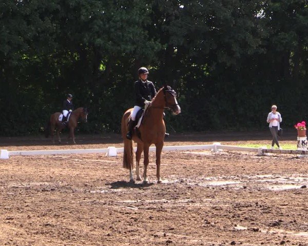 Reitturnier Schwittersdorf-Beesenstedt 2025