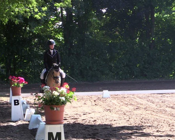 Reitturnier Schwittersdorf-Beesenstedt 2025