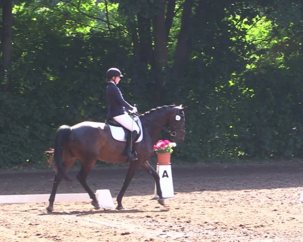 Reitturnier Schwittersdorf-Beesenstedt 2025