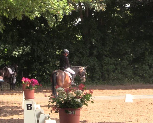 Reitturnier Schwittersdorf-Beesenstedt 2025