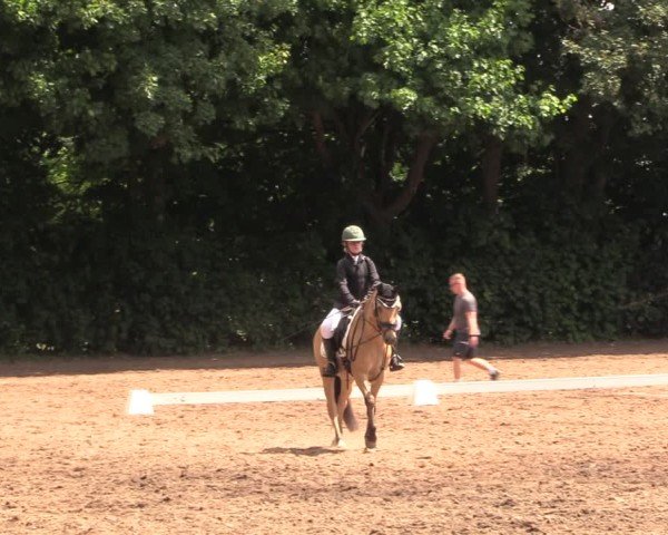 Reitturnier Schwittersdorf-Beesenstedt 2025