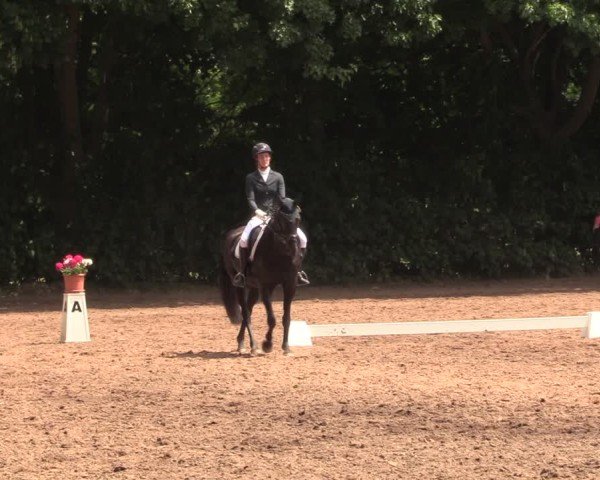 Reitturnier Schwittersdorf-Beesenstedt 2025