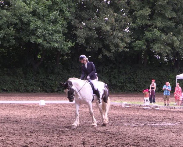 Reitturnier Schwittersdorf-Beesenstedt 2025